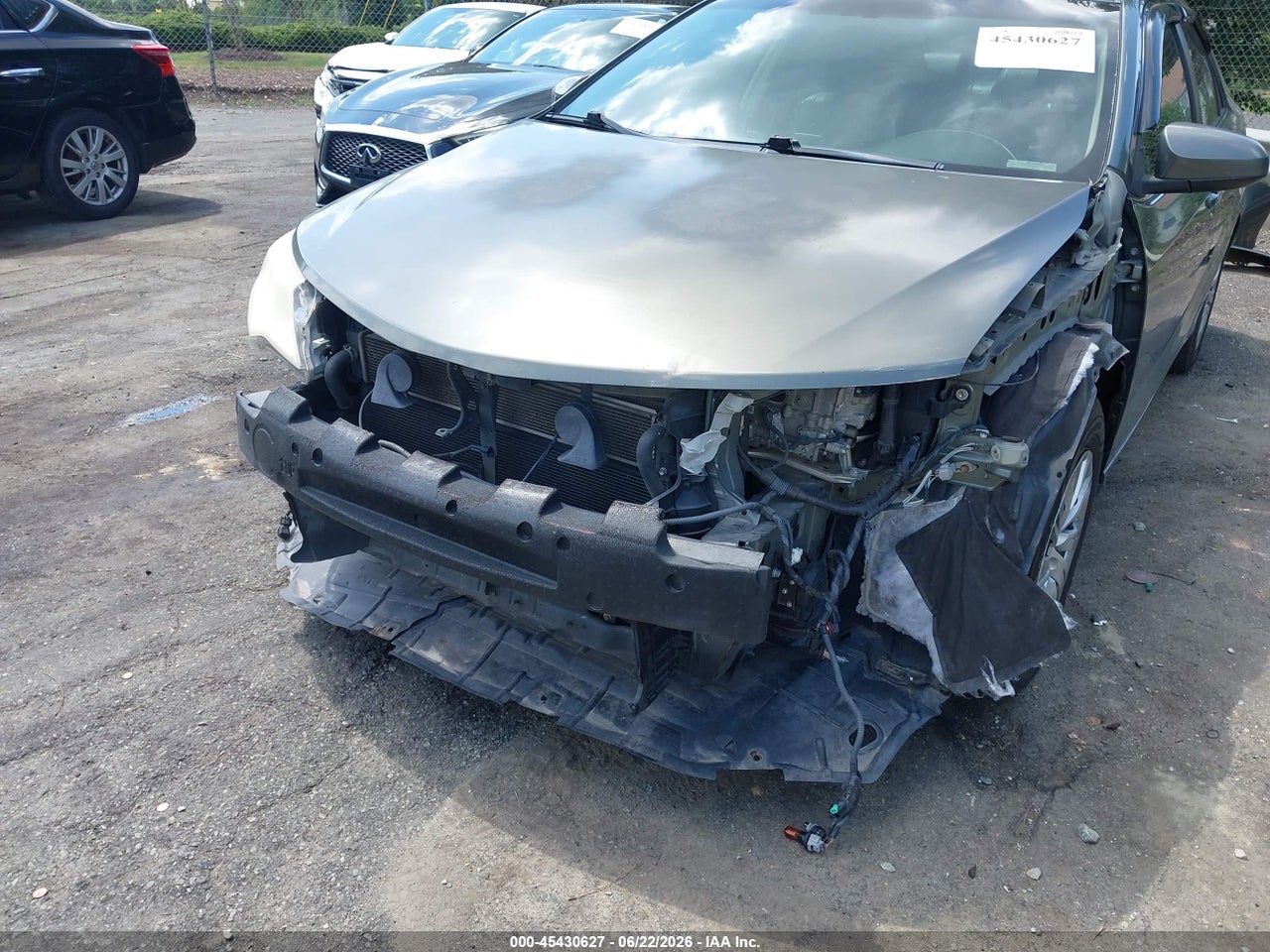 Image 6