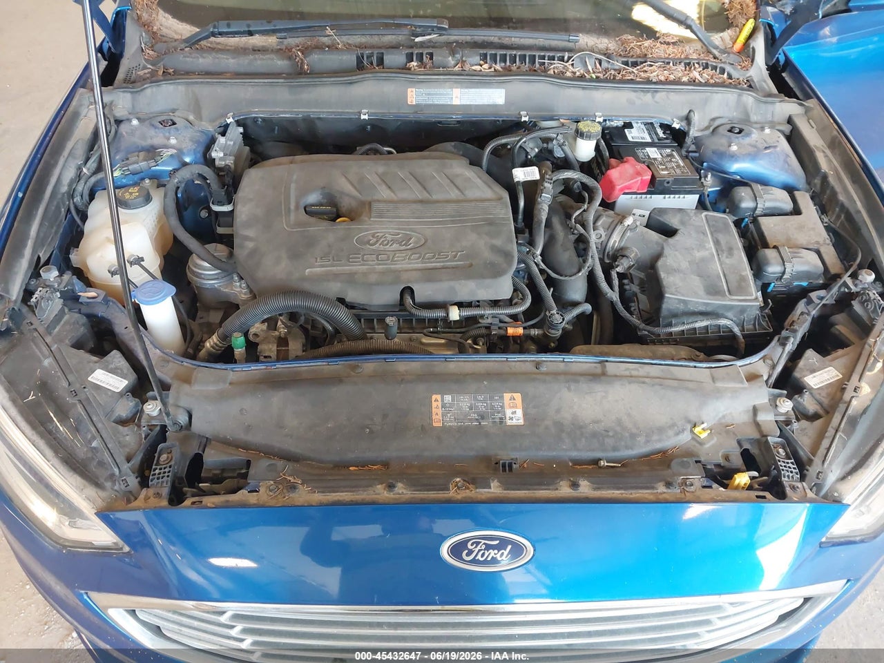 Image 10