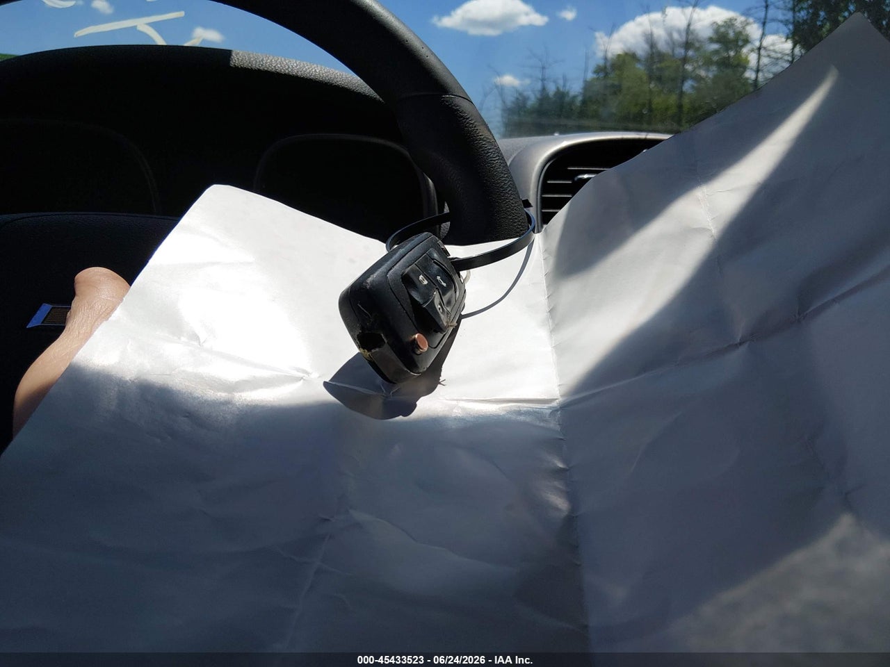 Image 11