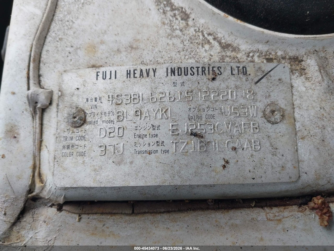 Image 9