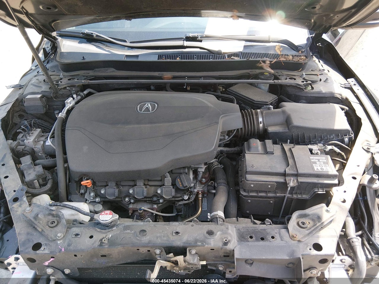 Image 10