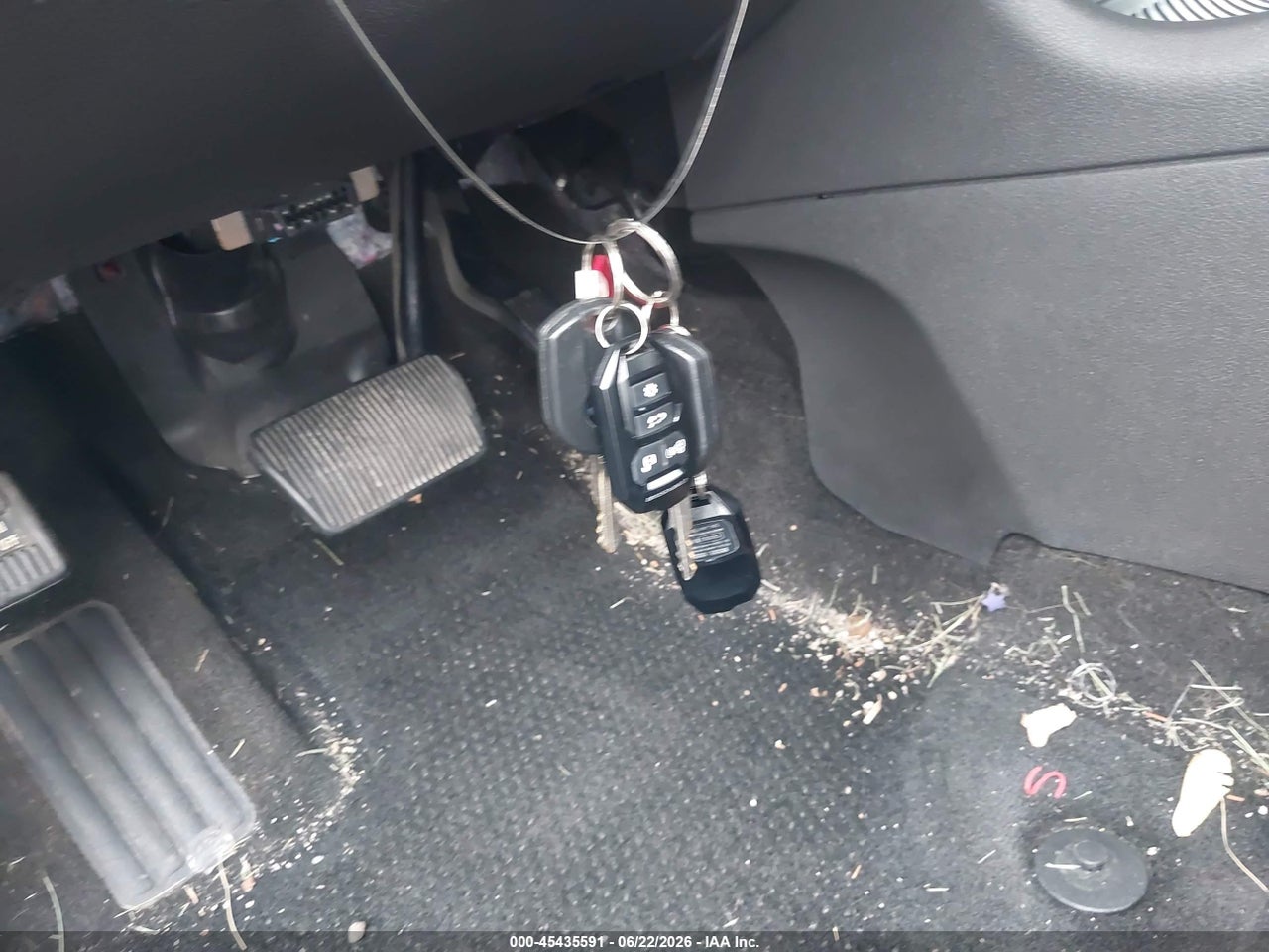 Image 11