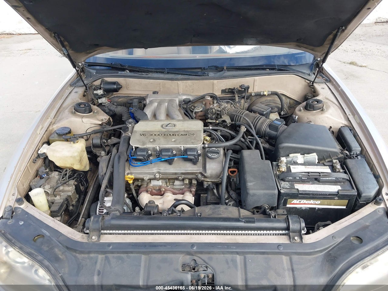 1996 LEXUS ES 300 thumbnail 11