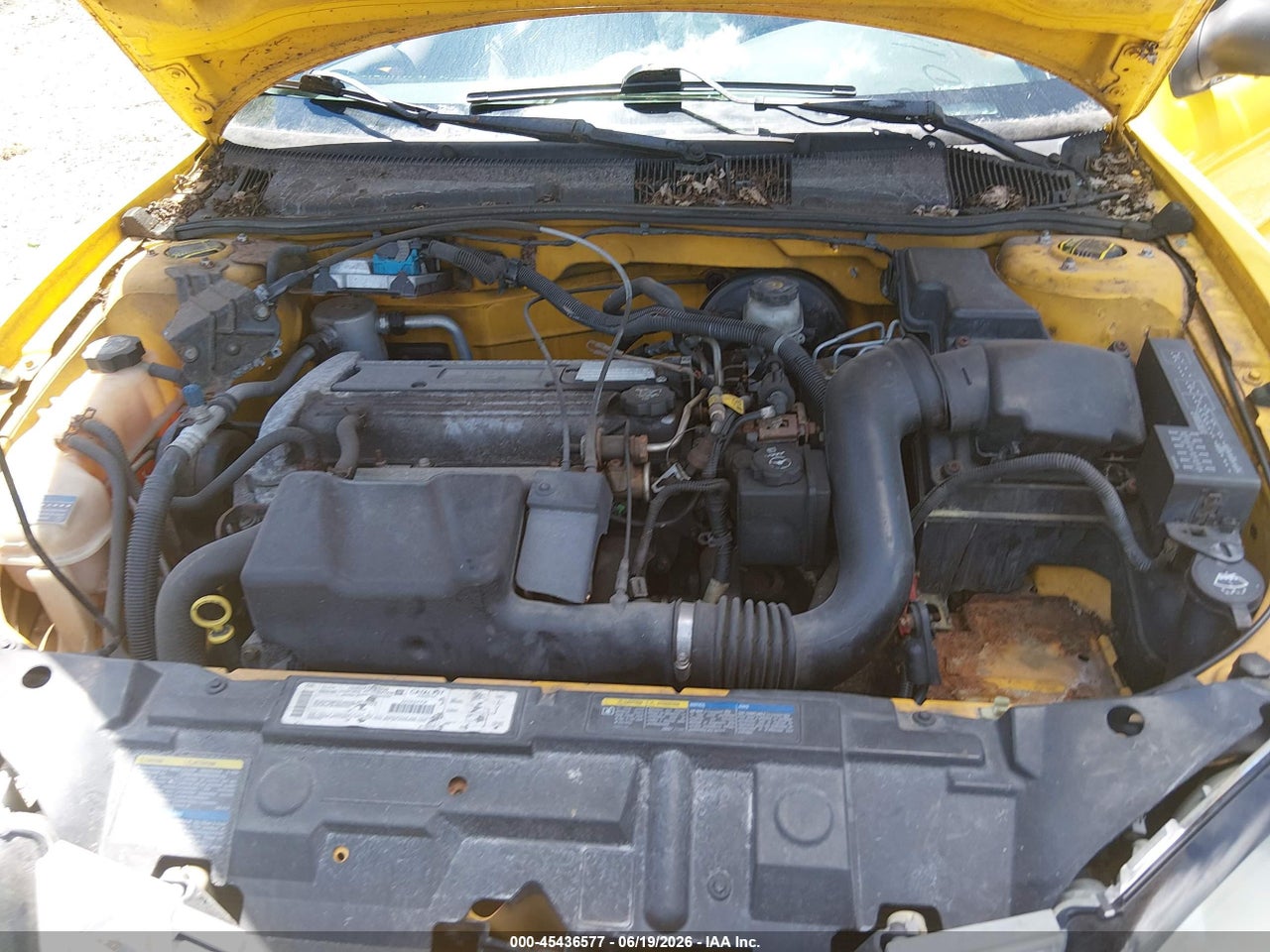 Image 10