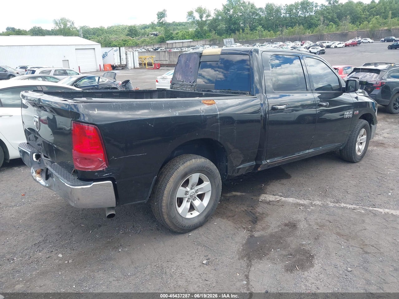 Image 4