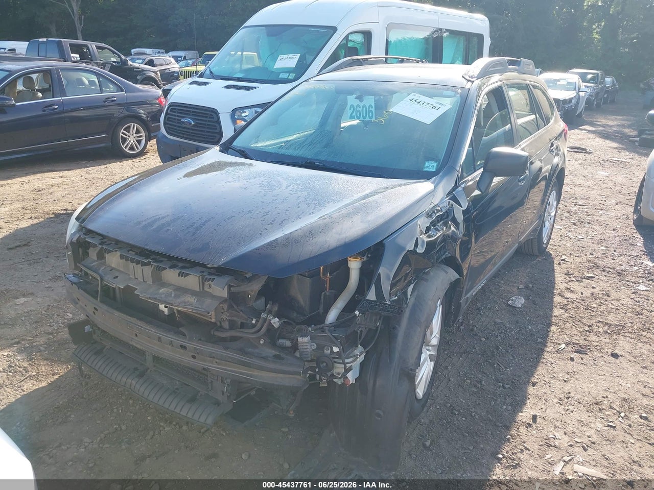 Image 6