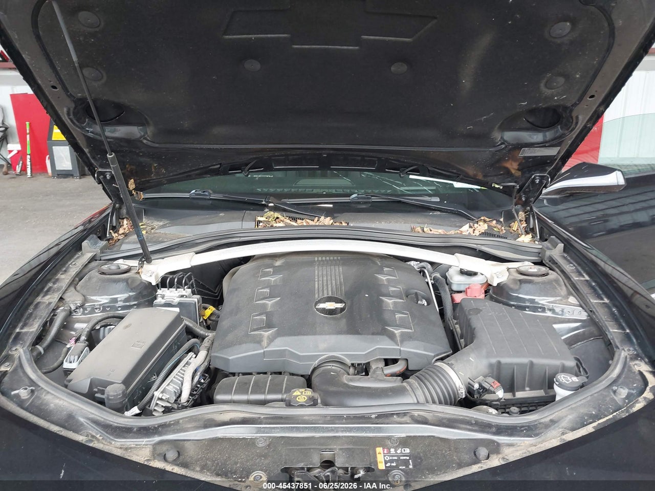 Image 10