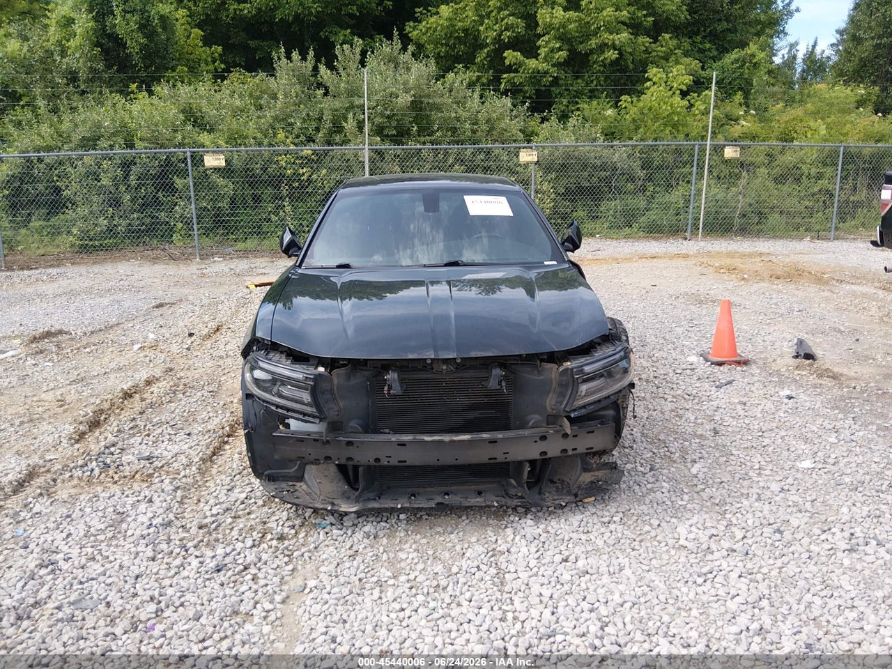 Image 6