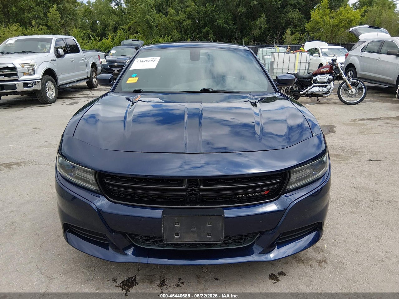 Image 12