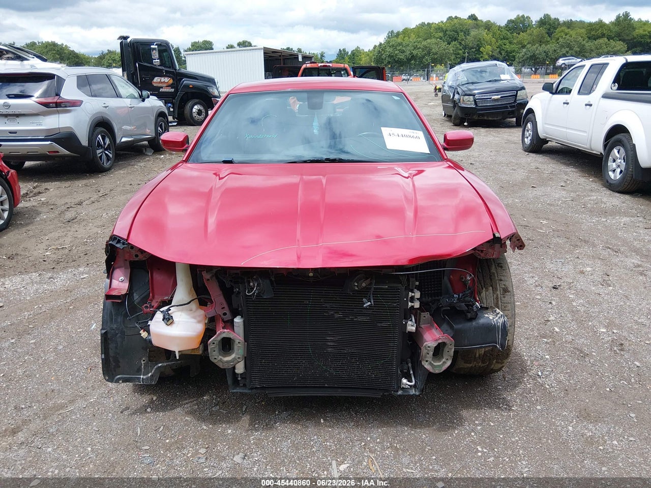 Image 12