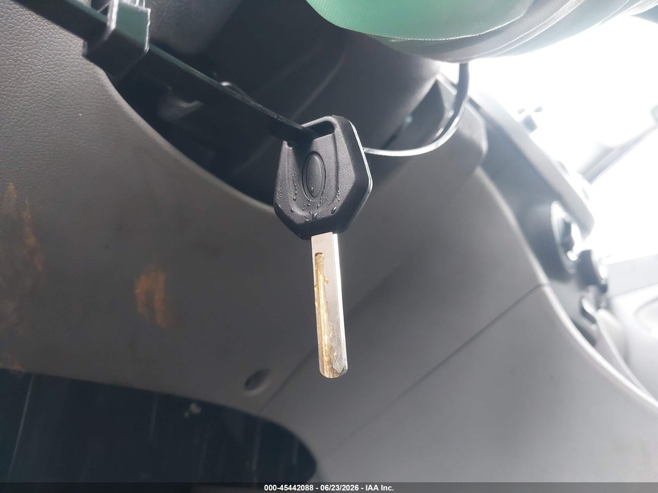 Image 11