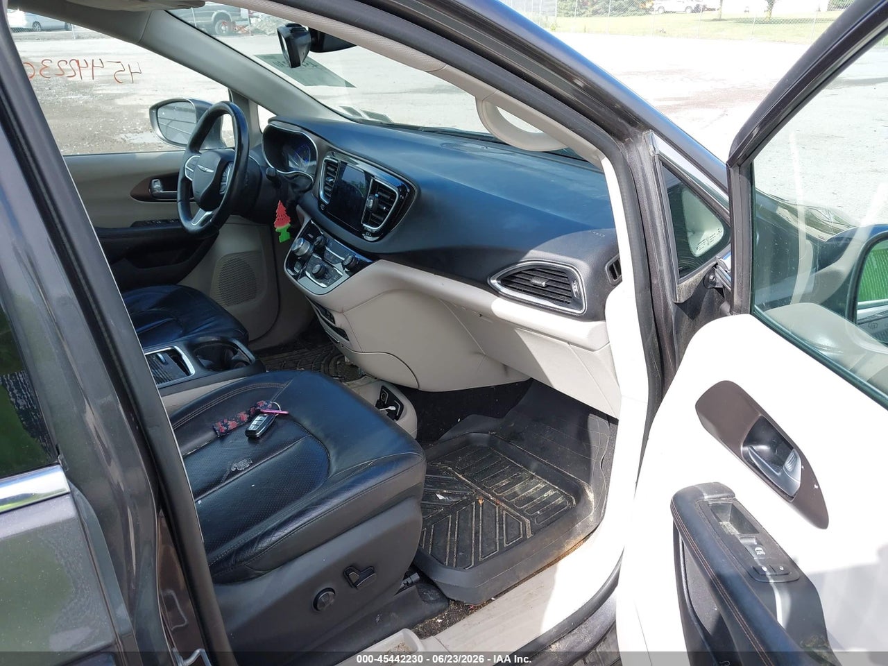 Image 5