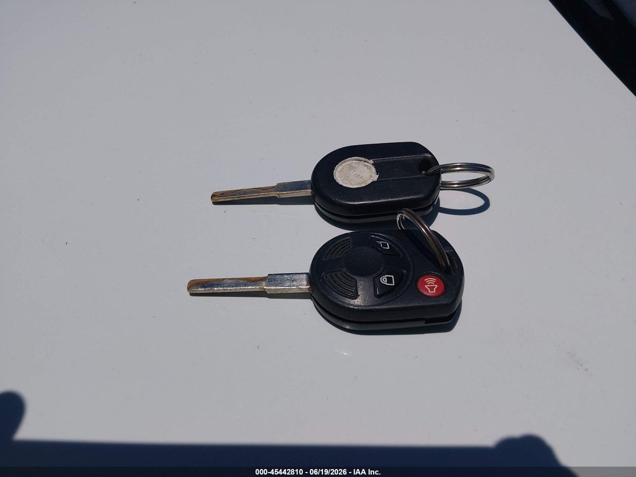 Image 11