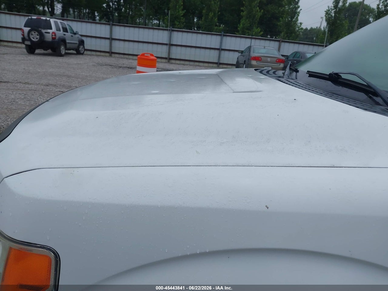 Image 6