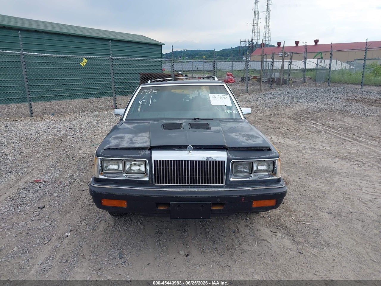 Image 12