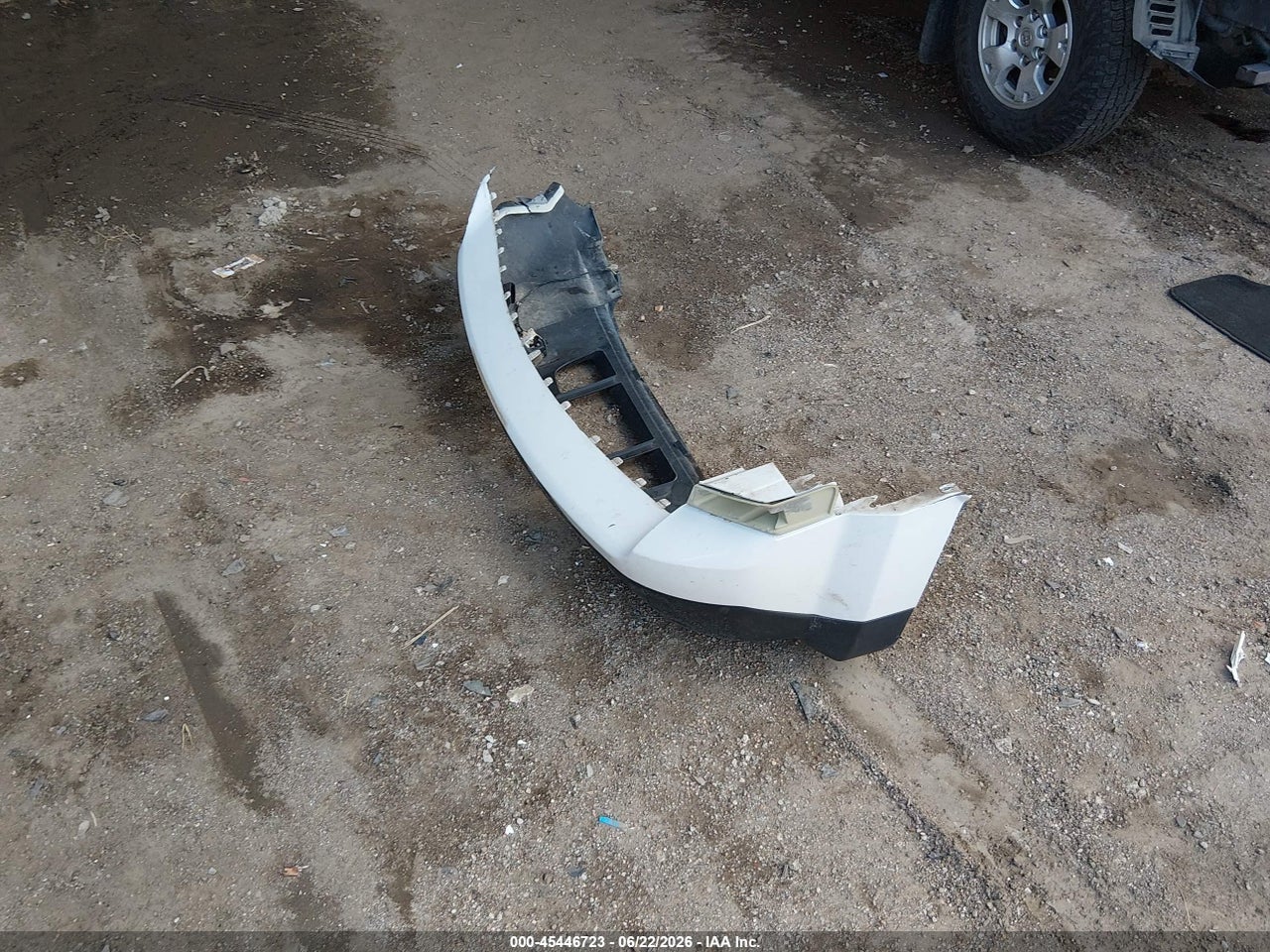 Image 12
