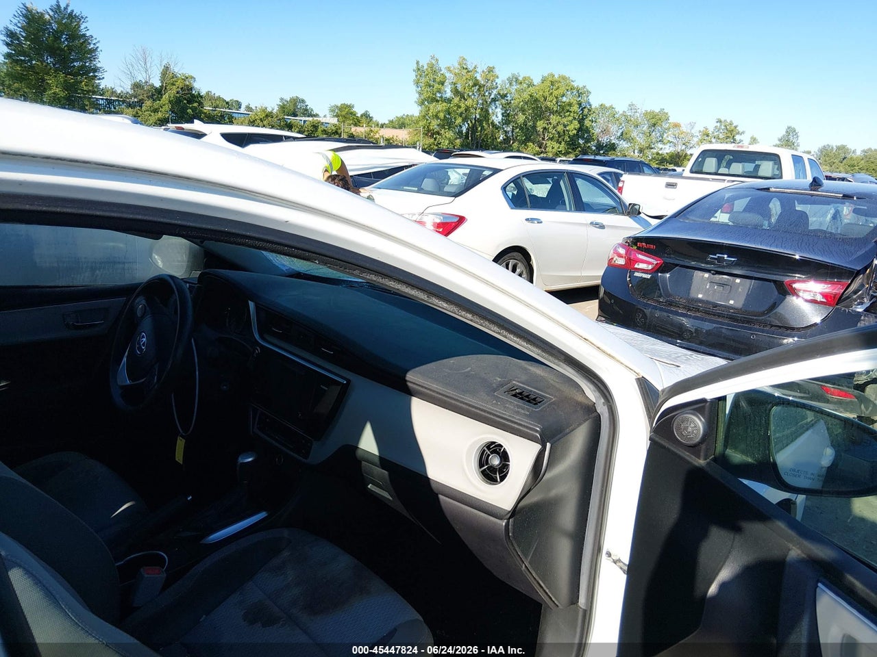 Image 5