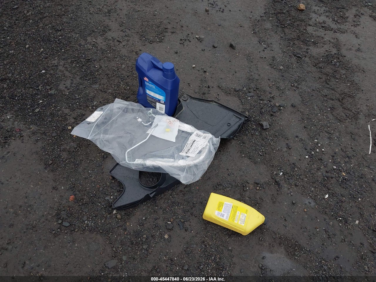 Image 12