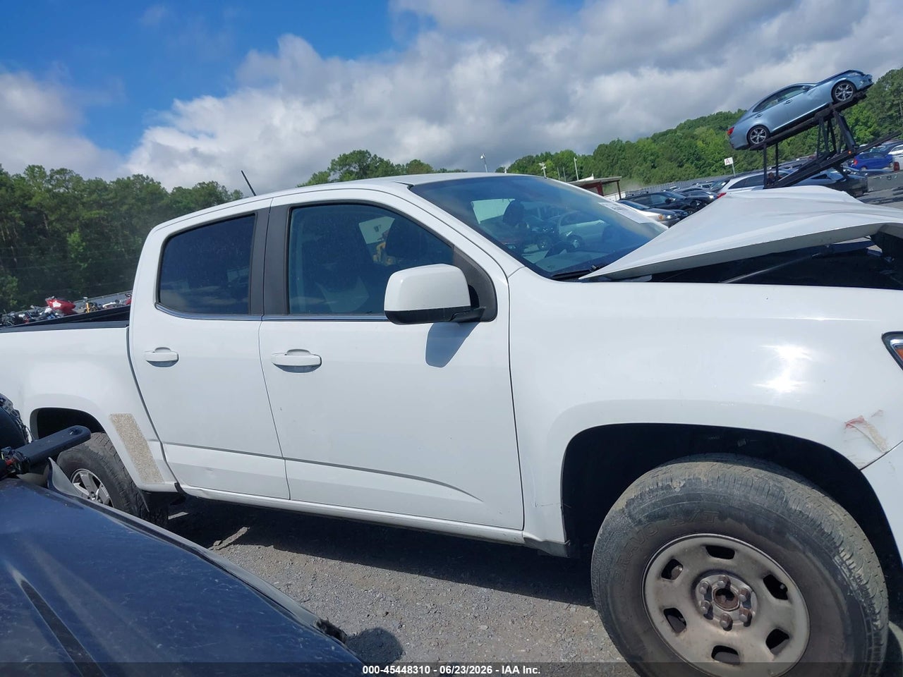 Image 13