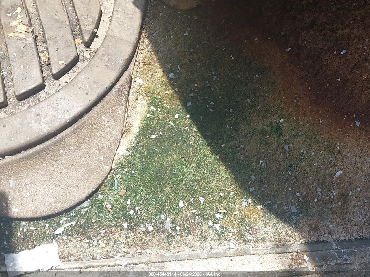Image 12