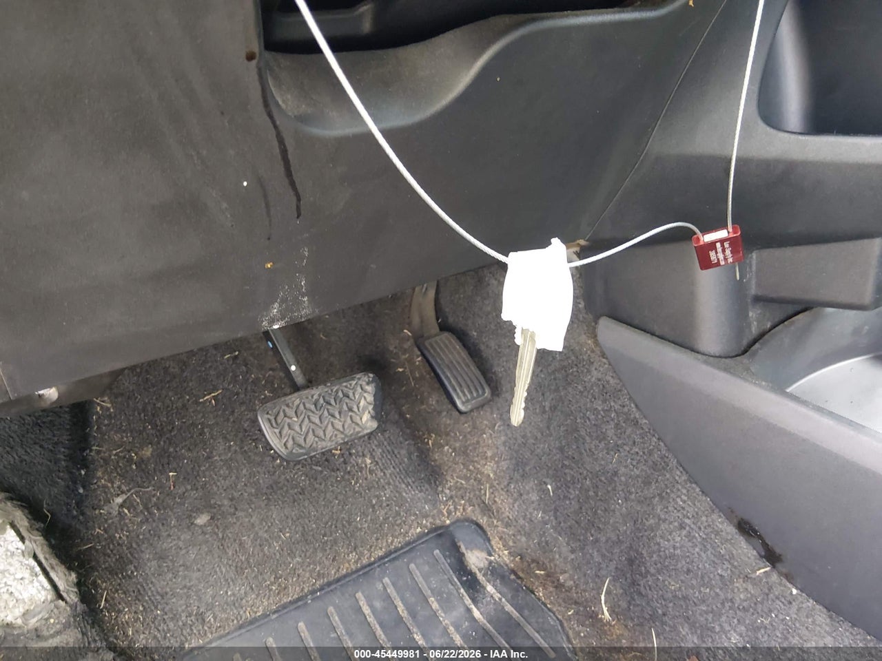 Image 11
