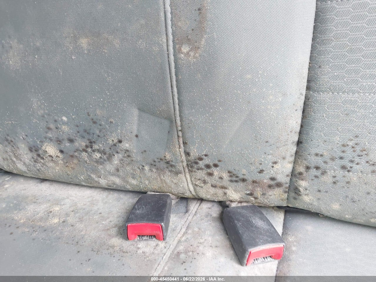 Image 19