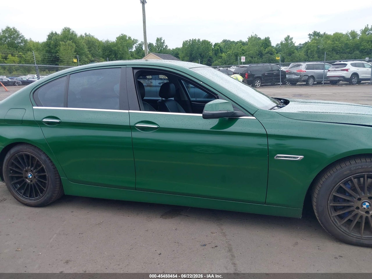 Image 13