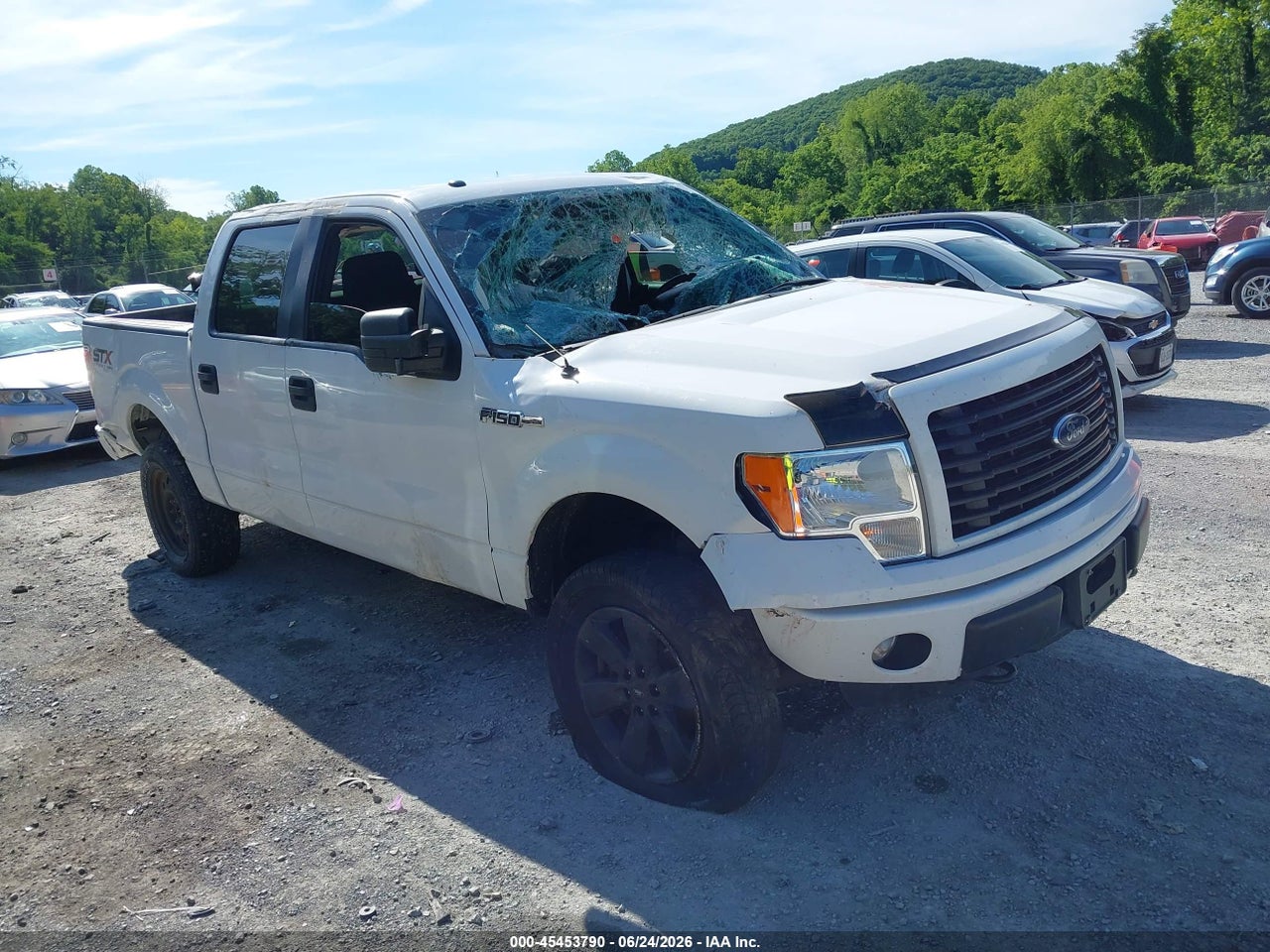 Image 1