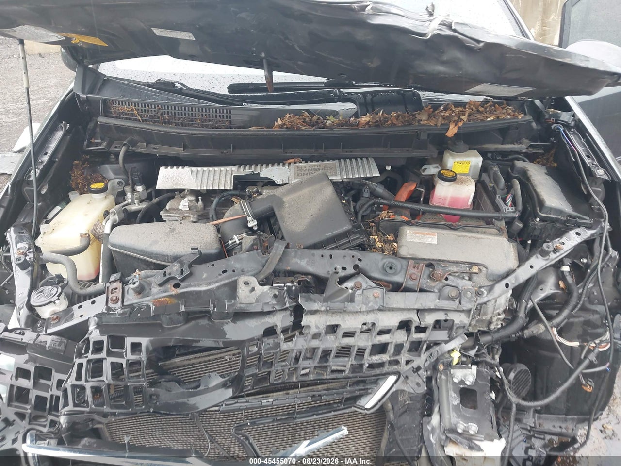 Image 10