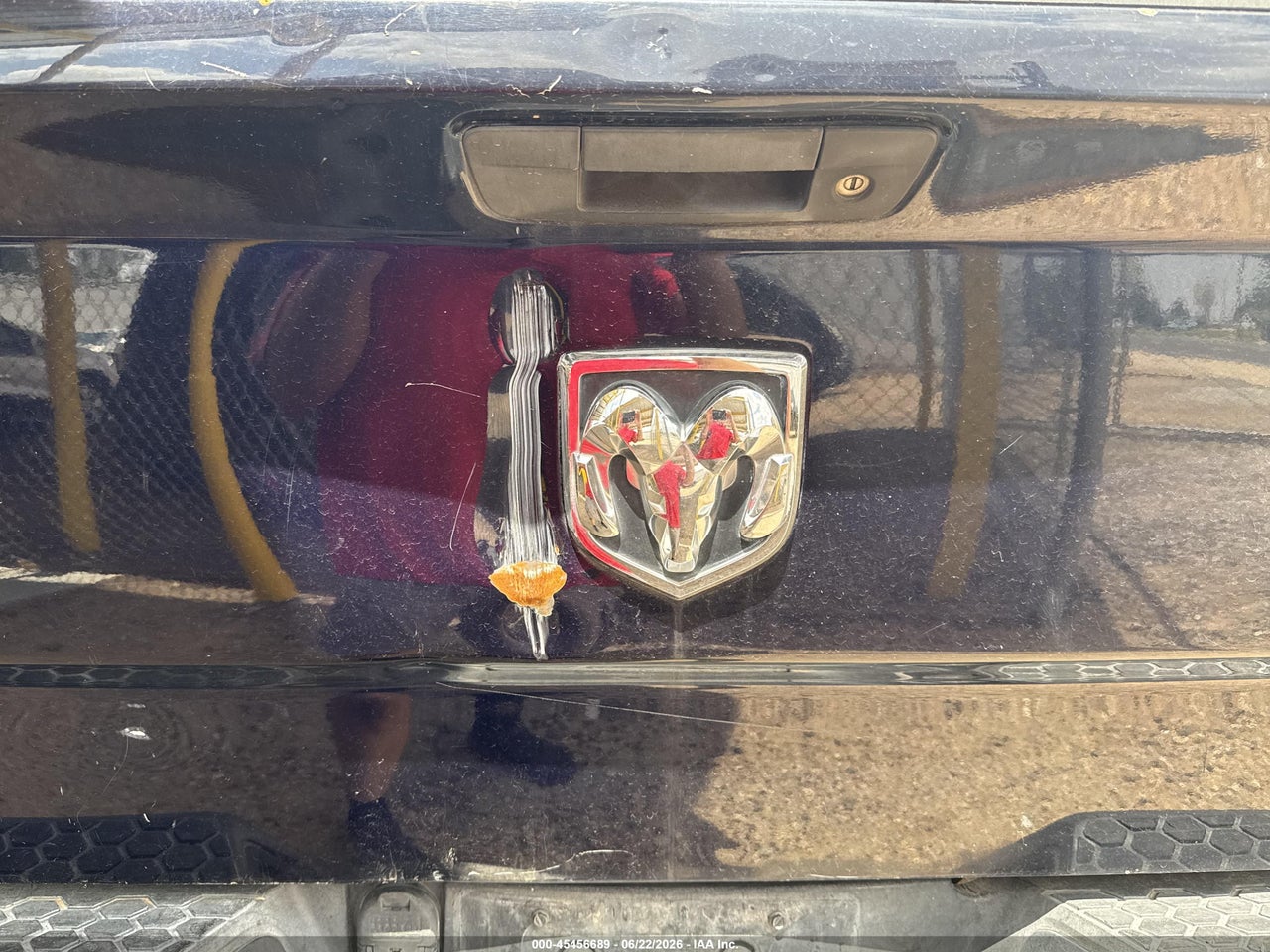 Image 6