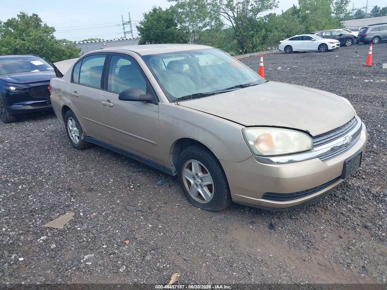 2005 CHEVROLET MALIBU LS thumbnail 2