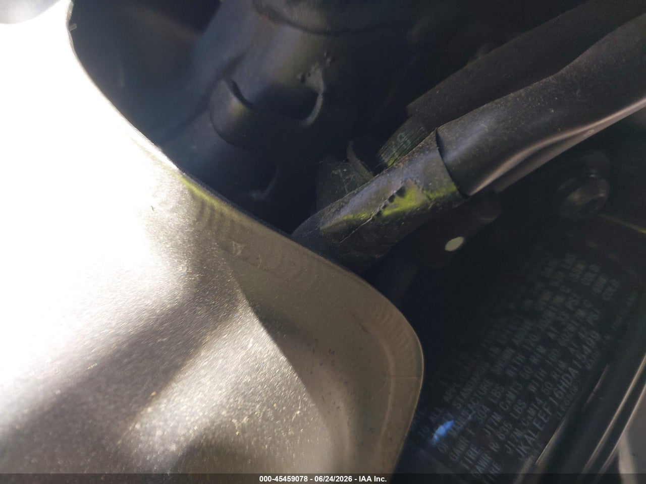 Image 10