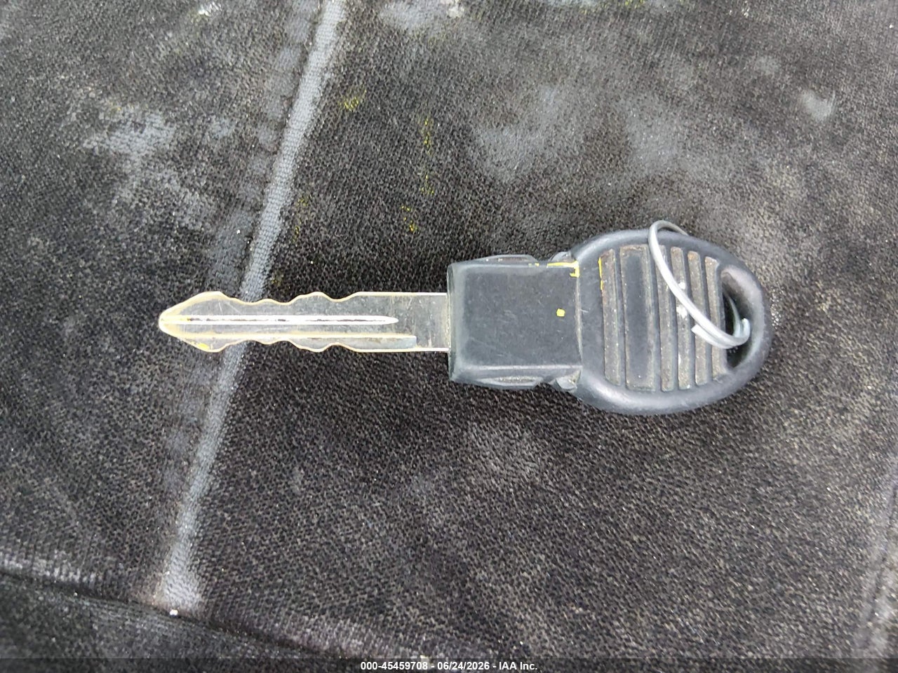 Image 11