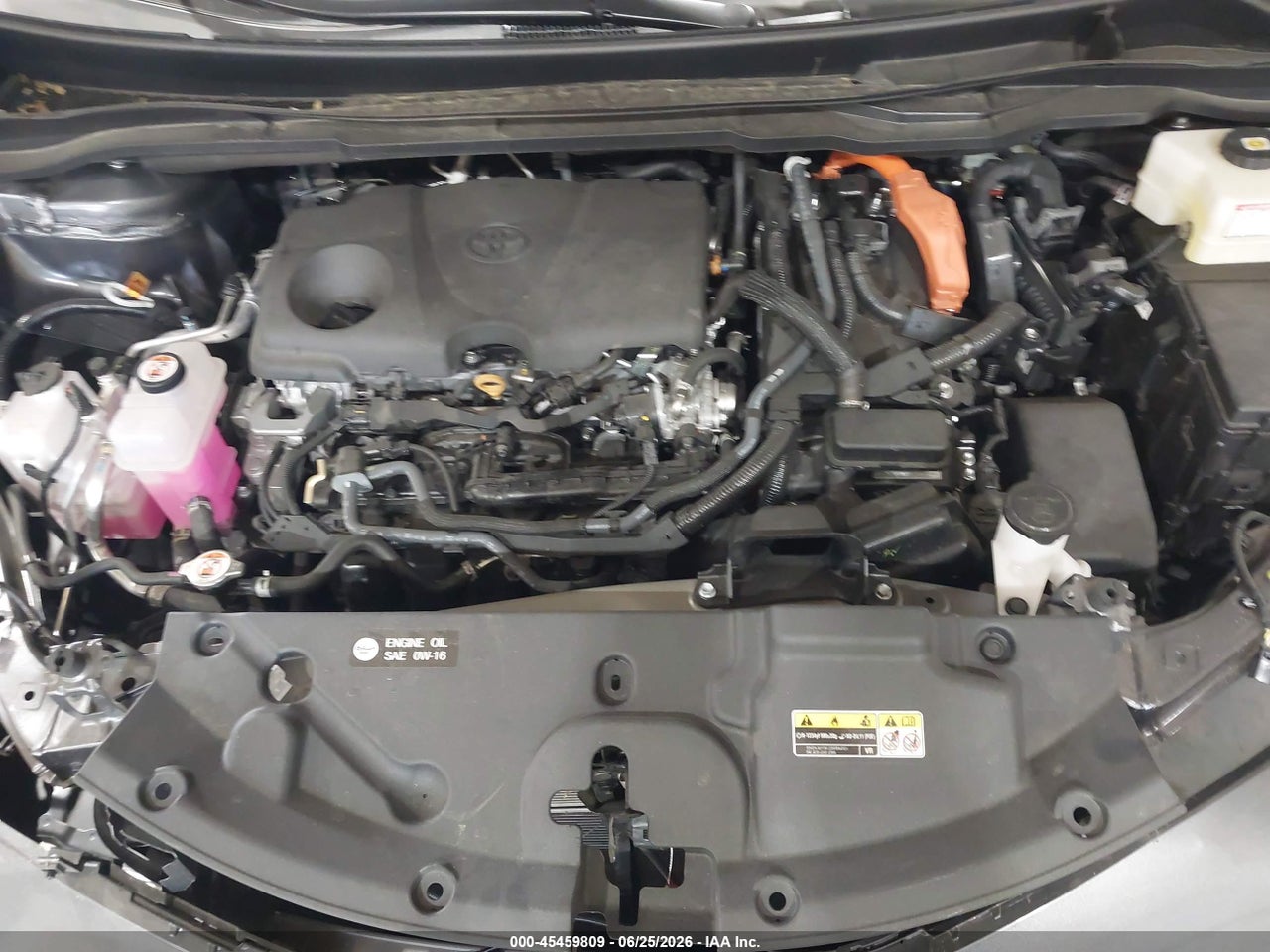 2025 TOYOTA SIENNA LE thumbnail 11