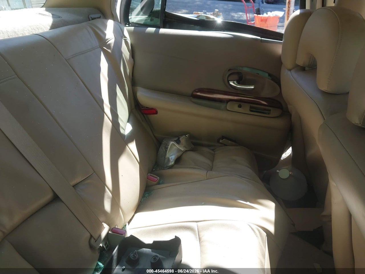 Image 8