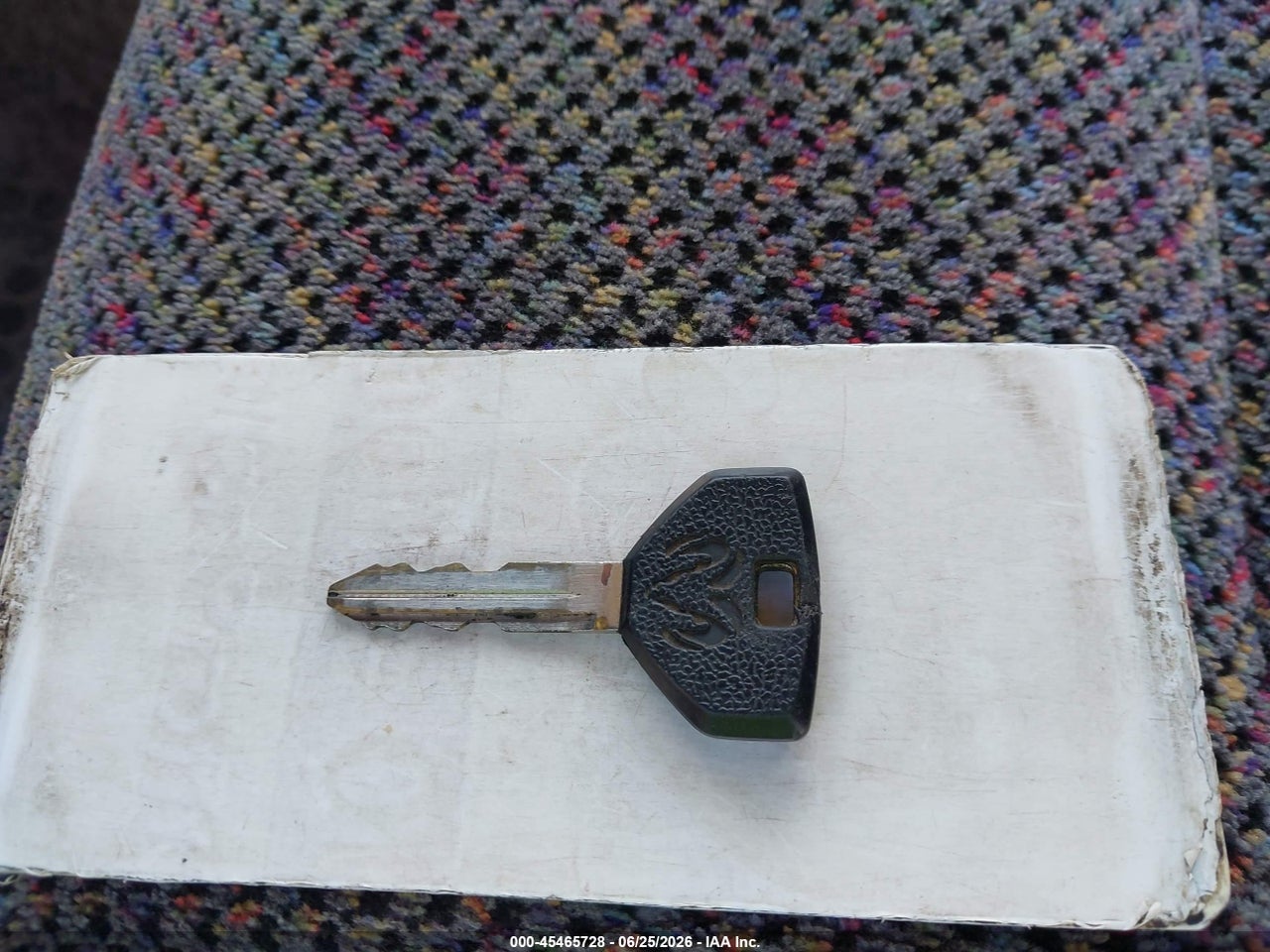 Image 11