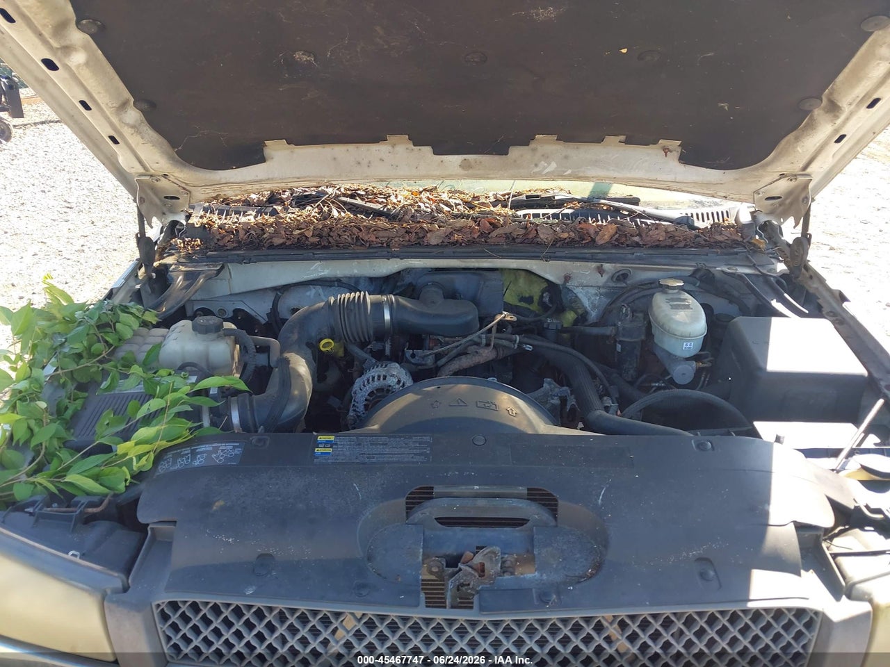 2004 CHEVROLET SILVERADO 1500 WORK TRUCK thumbnail 11