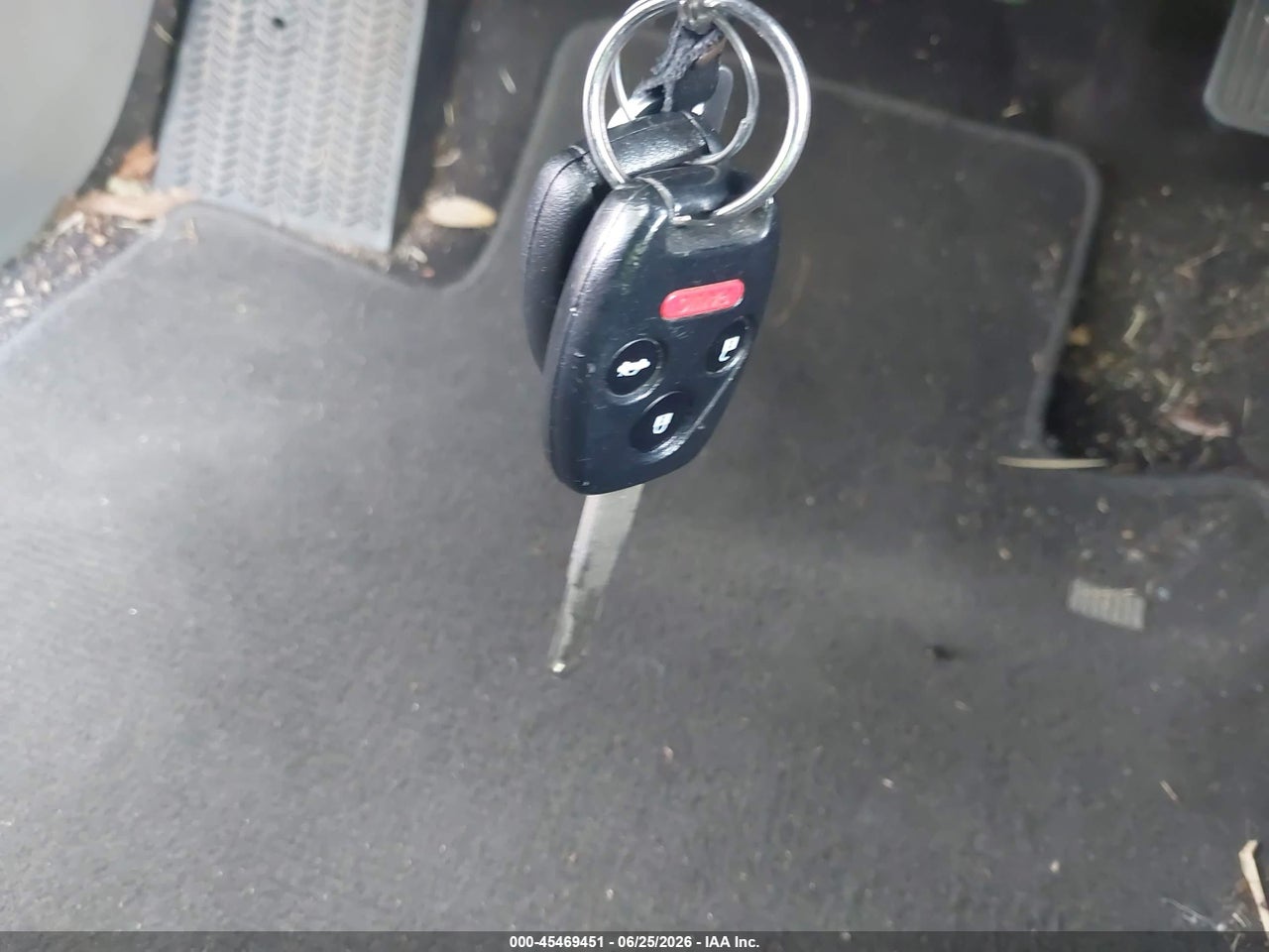 Image 11