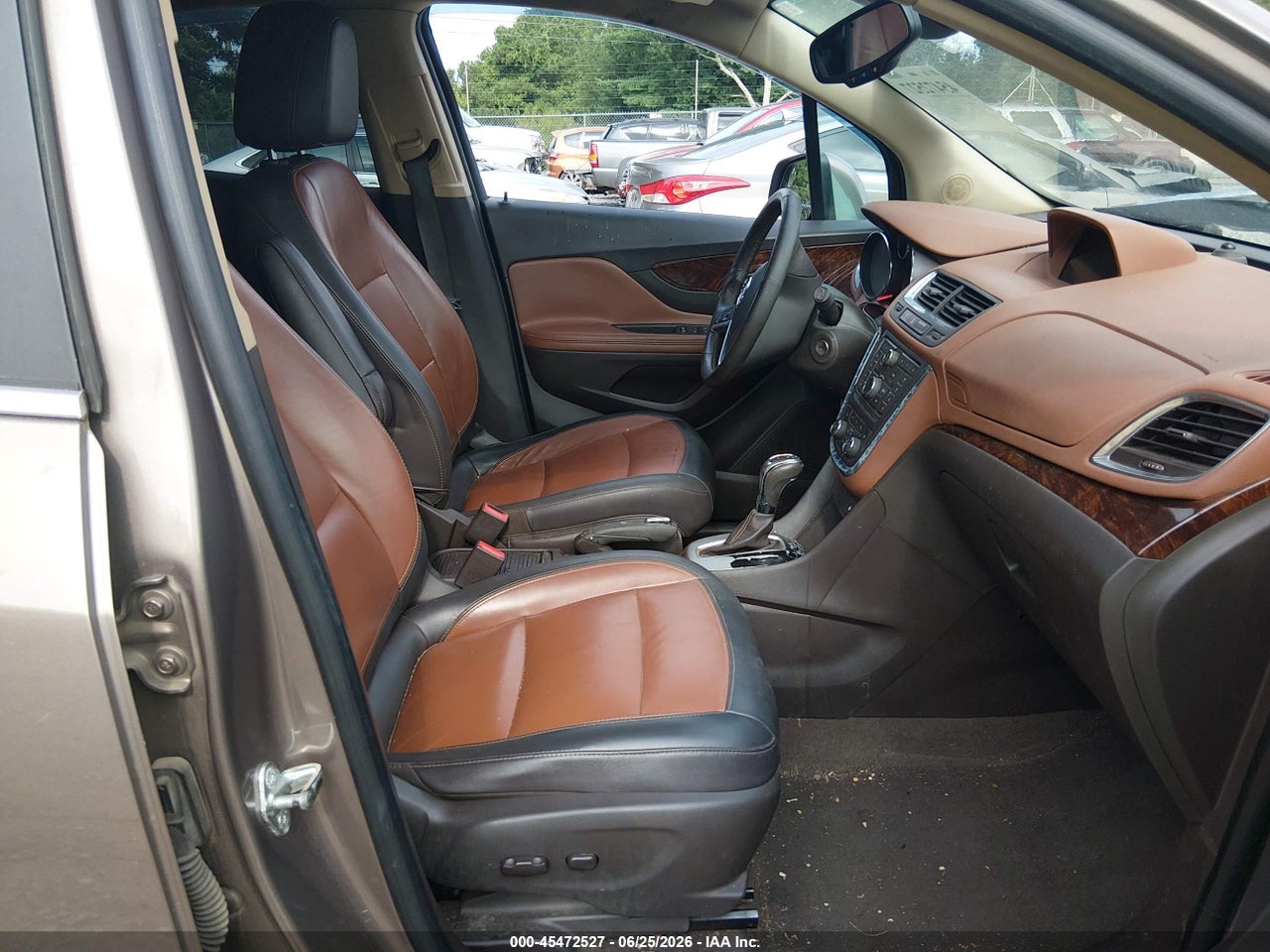 Image 5