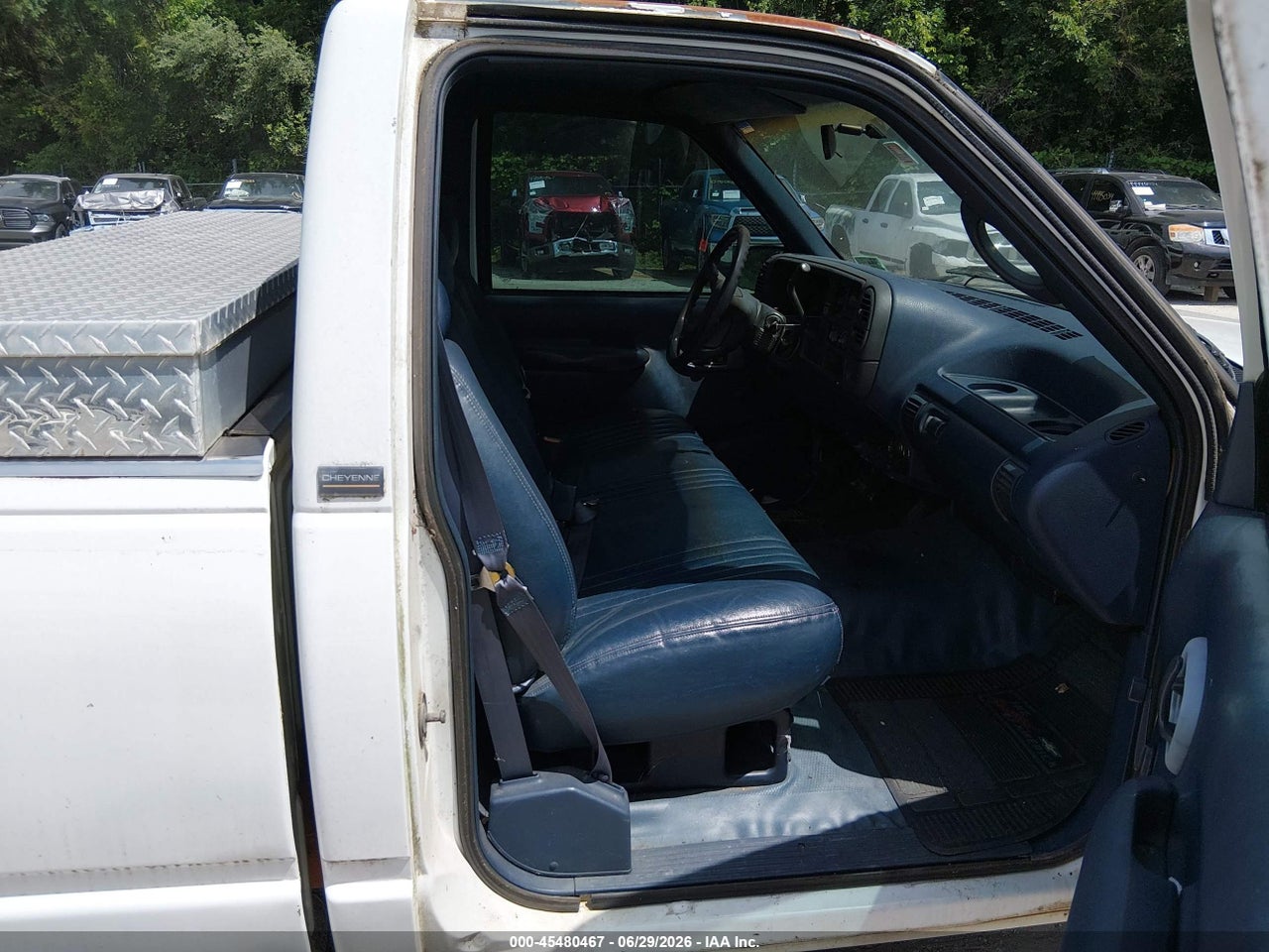 Image 5