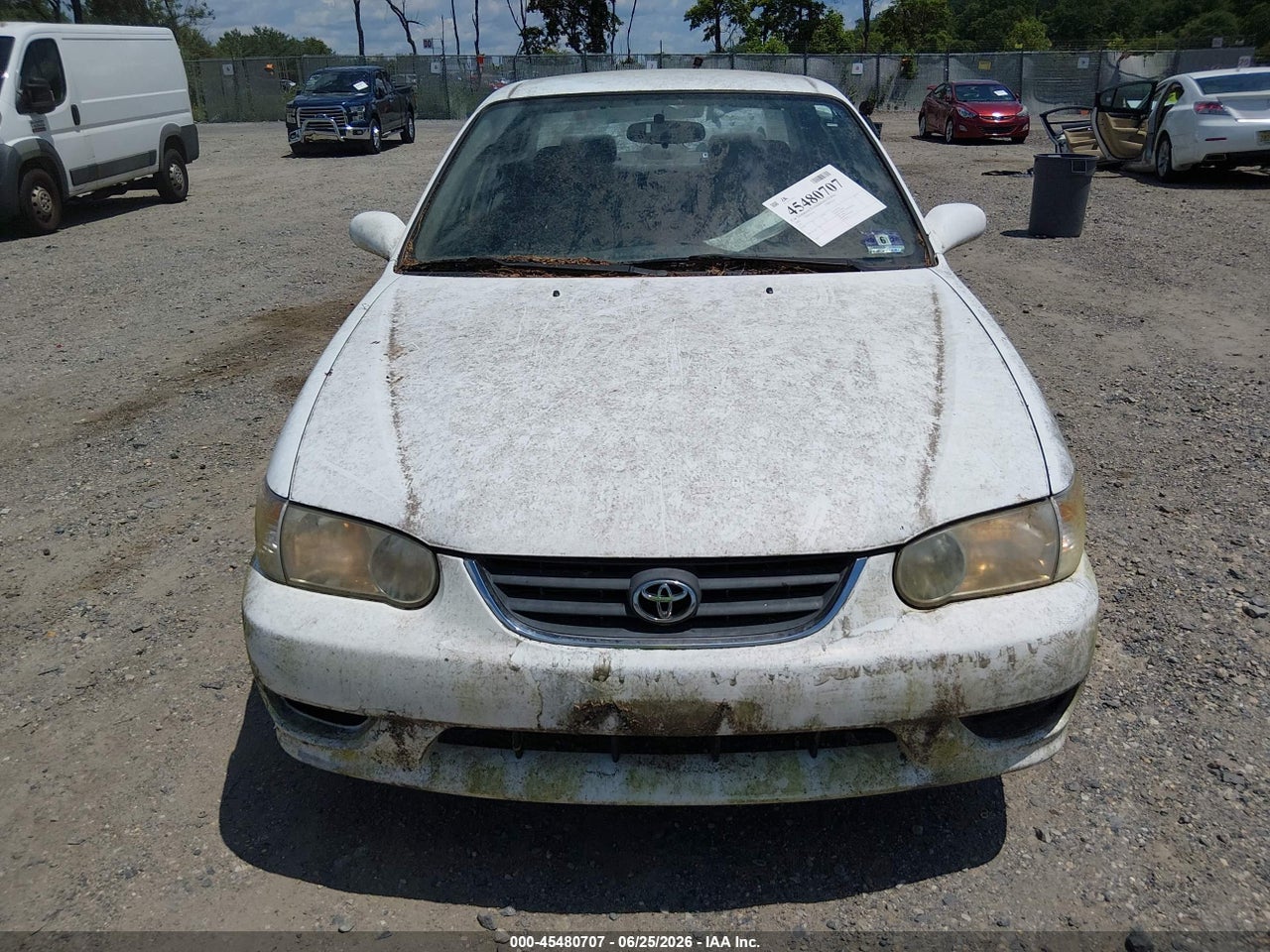 Image 6