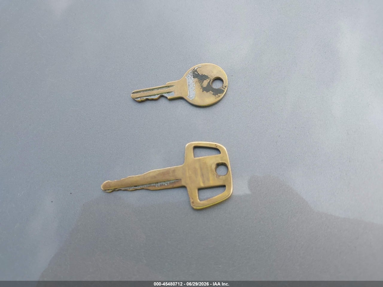 Image 11