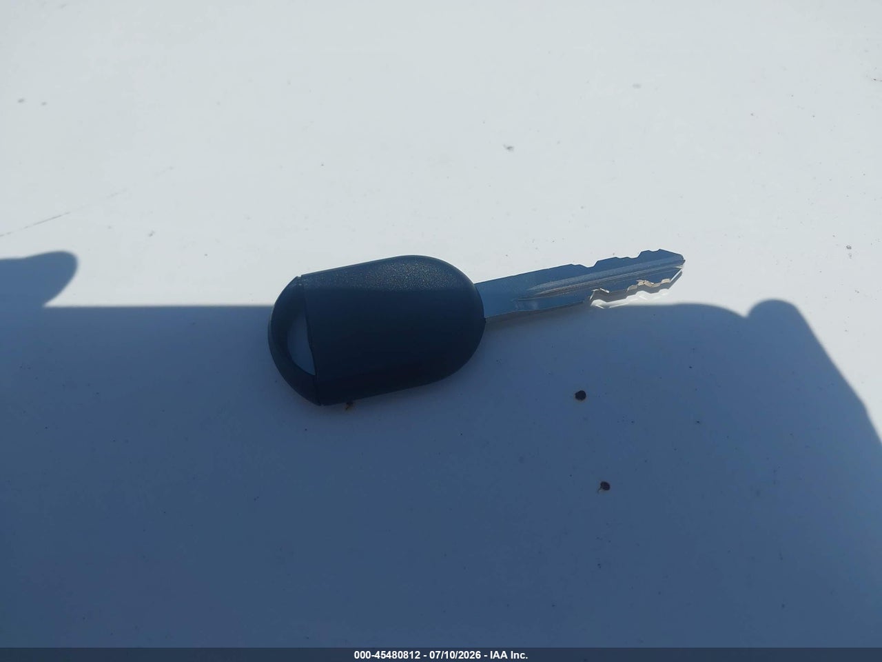 Image 11