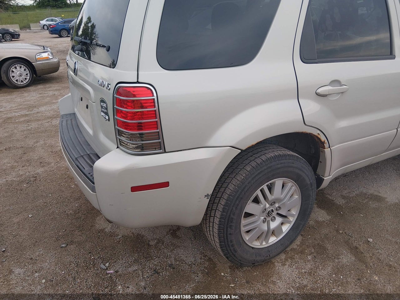 Image 12