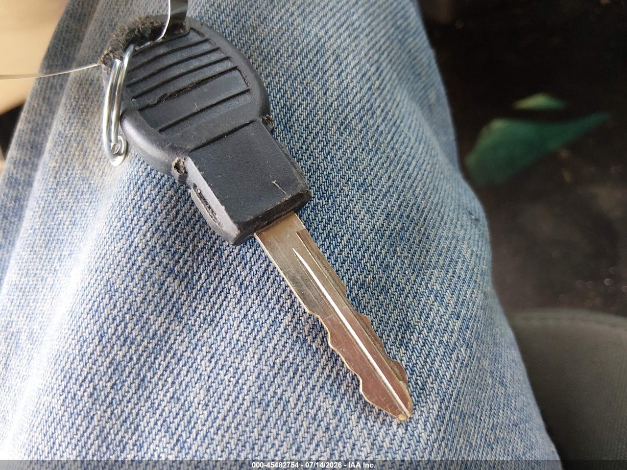 Image 11