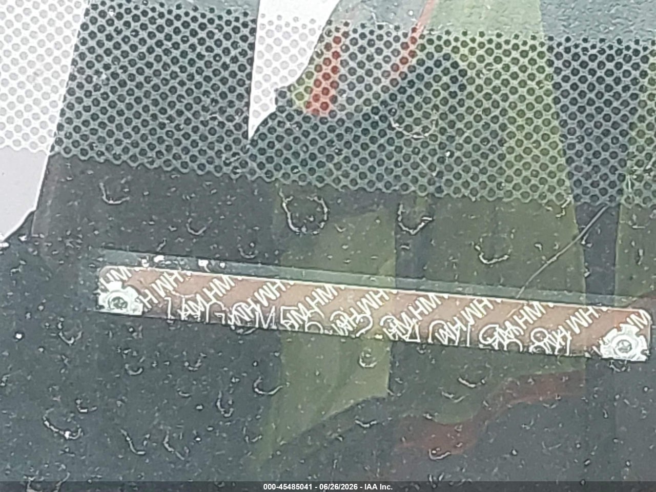 Image 12