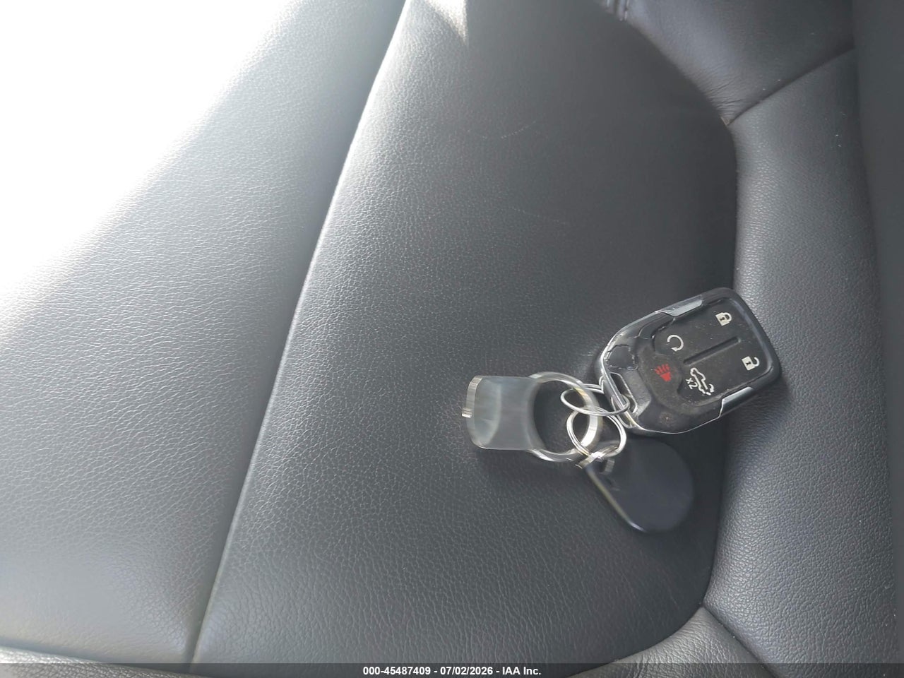 Image 11