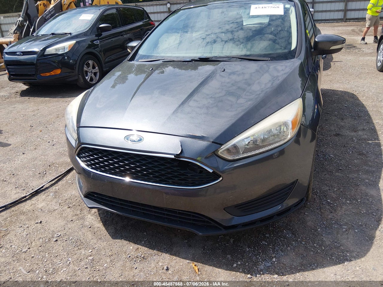 Image 6