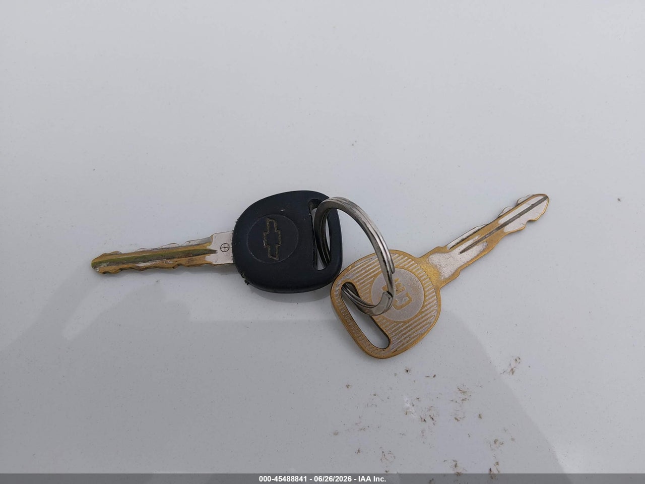 Image 11