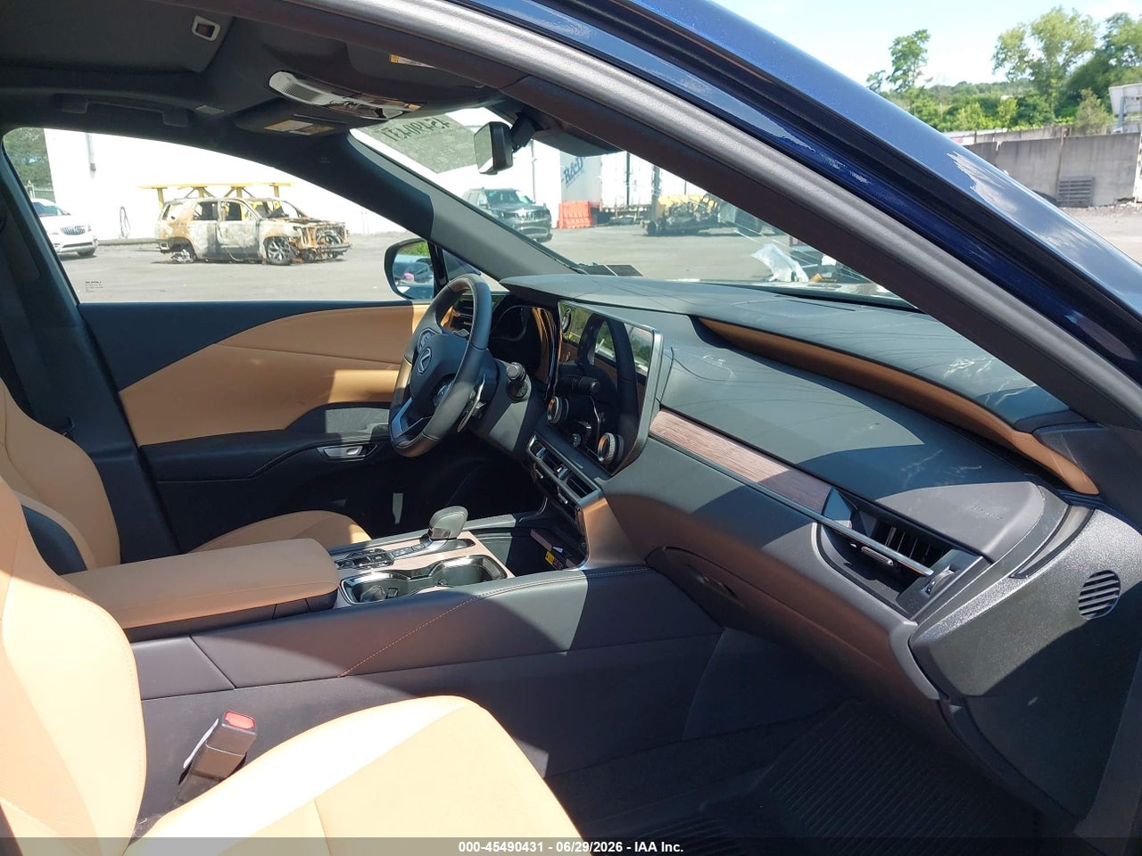 Image 5